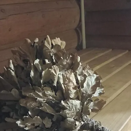 анастасія Ferienhaus Mizhhirya (Transcarpathia)