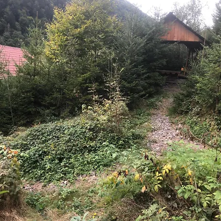 Ferienhaus анастасія Mizhhirya (Transcarpathia)