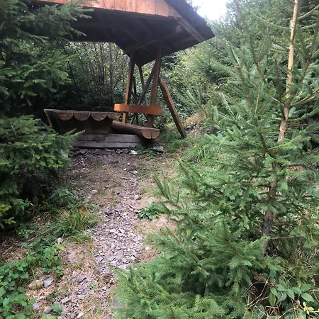 анастасія Tatil Evi