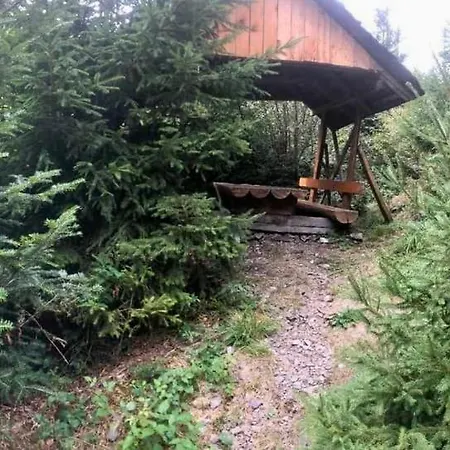 анастасія Ferienhaus Mizhhirya (Transcarpathia)