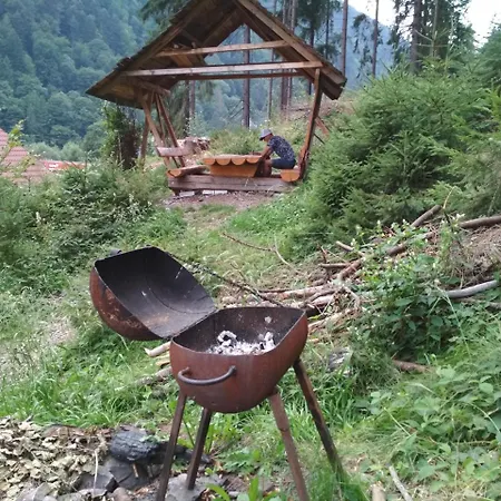 анастасія * Mizhhirya (Transcarpathia)