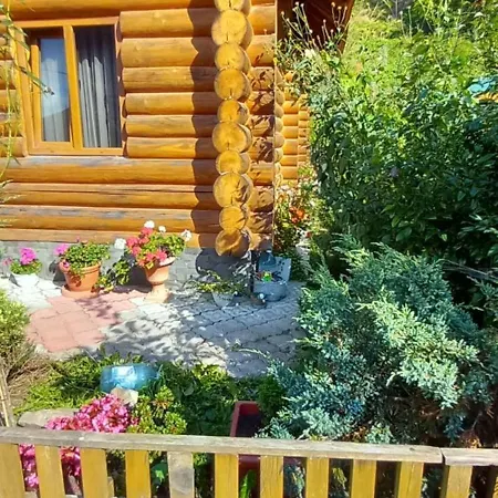 анастасія *